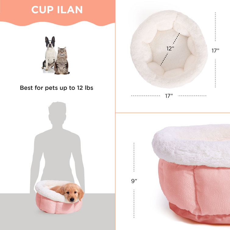 Best friends cuddle clearance cup dog bed